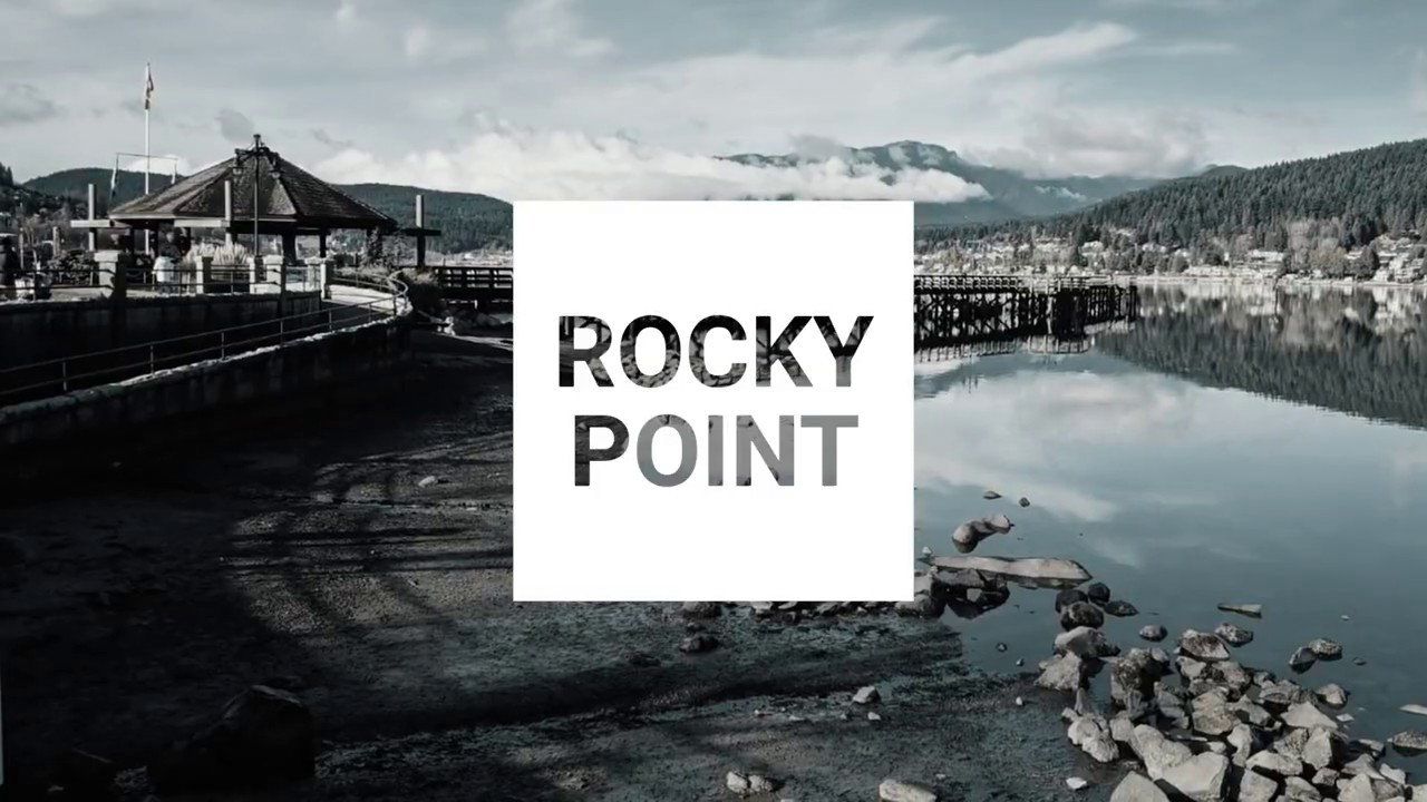 Happy Holidays 2019 in Port Moody - Perry the REALTOR