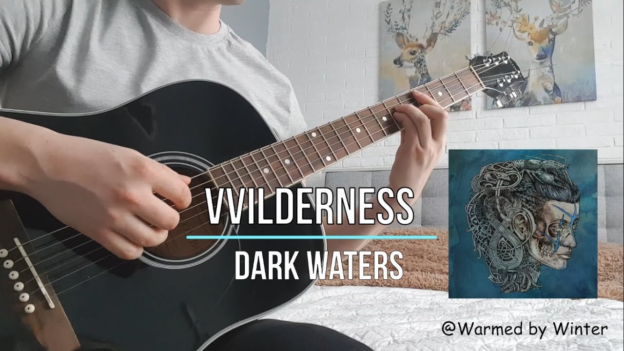 Vvilderness - Dark Waters (acoustic guitar cover)