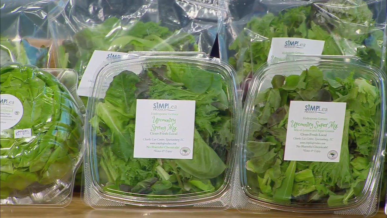 Simplea Produce And YouTube