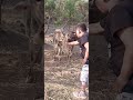 For Fun##fun#ytshorts