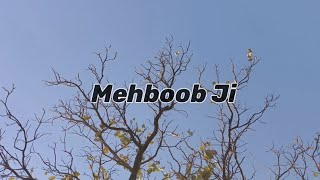 MEHBOOB JI | Satinder Sartaj | lyrical video #satindersartaaj