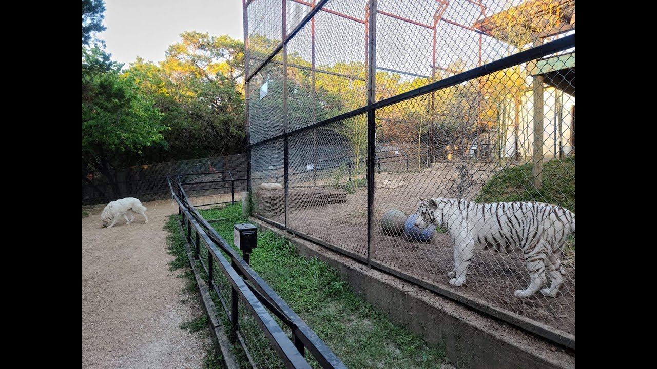 The Guardians of the Austin Texas Zoo