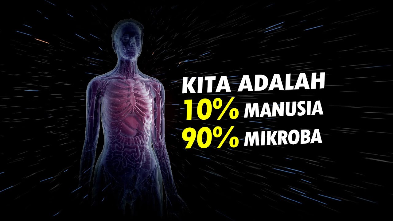Kita BUKAN 100% Manusia 