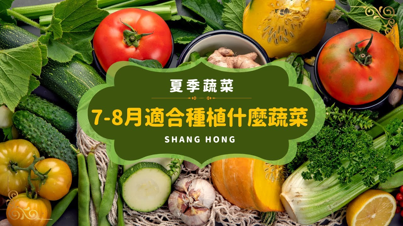 夏天適合種植的蔬菜 ｜耐高溫 ｜7-8月份最適合種植的蔬菜｜炎炎夏日也能豐收｜夏季蔬菜 - YouTube