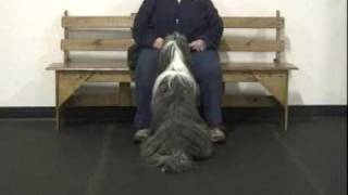 MODIFIER CUES - PART 1