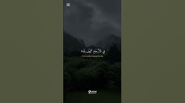 "تلاوة هادئة تريح النفوس "#قرآن