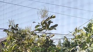 (April 23.2026) VitaTook 859TV is live! for WH thanks po