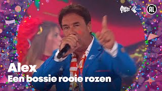 Alex - 'n Bossie rode rozen // Sterren NL Carnaval 2024