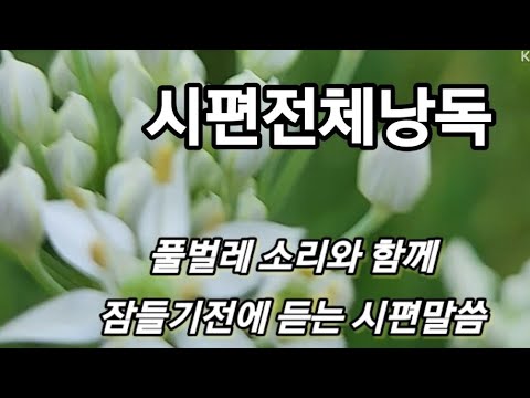 시편전체낭송1장~150장