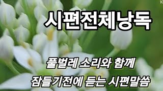 시편전체낭송1장~150장