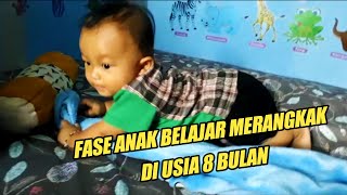 Masa Bayi Belajar Merangkak Diusia 8 Bulan