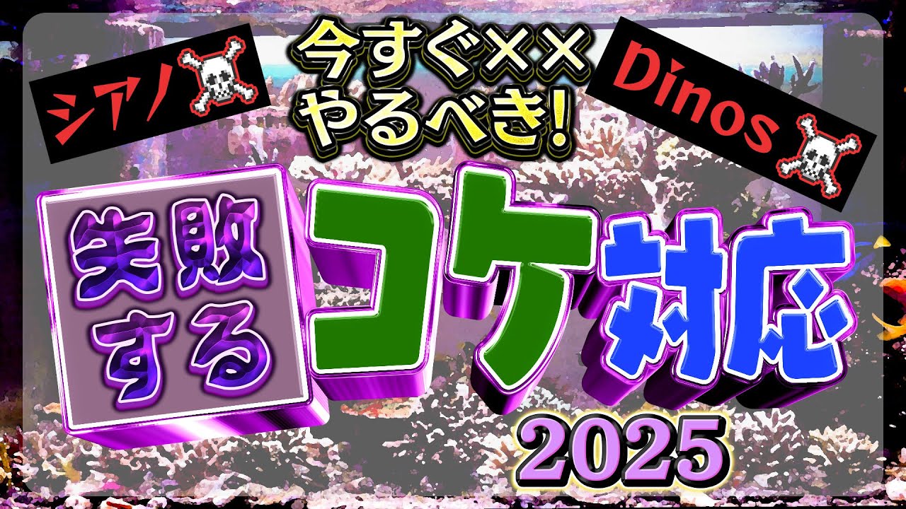 シアノ・Dinos　致命傷になるかもしれないコケ対策【2025年1月号 vol.3】