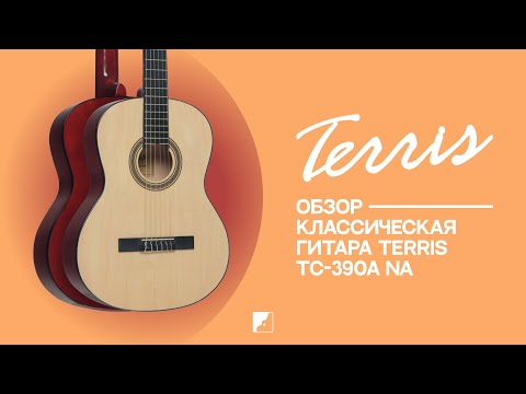 Обзор классической гитары TERRIS TC-390A NA Обзор классической гитары TERRIS TC-390A NA