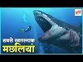 दुनिया की सबसे जानलेवा मछलियां | Most dangerous fishes in the world in hindi | Jhannaat Facts