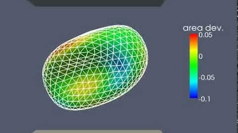 Tumbling red blood cell