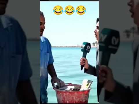 قالولي بلط البحر