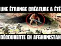 Une trange crature a t dcouverte en afghanistan