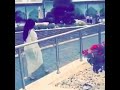 شيله بنت شيوخ