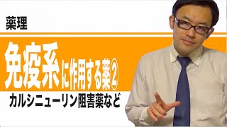 免疫系に作用する薬②（カルシニューリン阻害薬など）