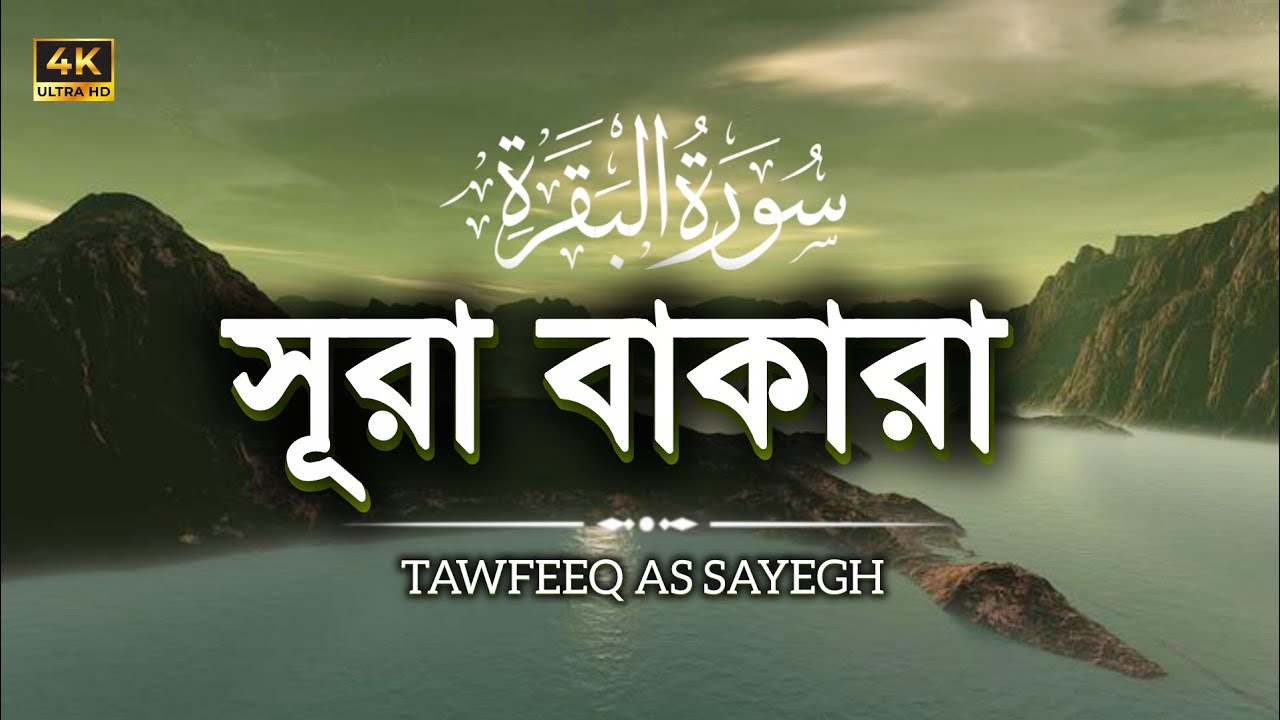 সূরা বাকারা ┇ Surah Baqarah ┇ প্রতিদিন সূরাটি শুনুন ┇ (سورة البقرة) ┇ Recited by: Tawfeeq as Sayegh