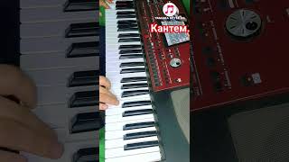 Кантем.cover.korg Pa 700.Жусуп Мырза. #Тойырлары #Тойәндері #Korg