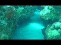 Scuba Dive down to 80 ft with a Sony Cyber-shot TX30 in Utila: Easy underwater Photo & Video