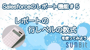 【Salesforceのレポート機能 #5】行レベルの数式