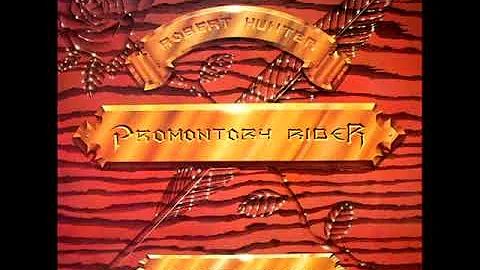 Robert Hunter - Promontory Rider: A Retrospective ...