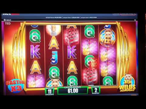 TED NetBet Casino speciale