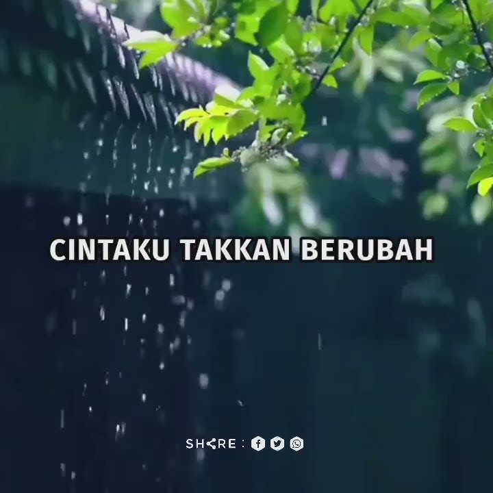 STORY WA || CINTAKU TAKKAN BERUBAH - ANIE CARERA