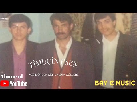 Timuçin Esen - Yeşil Ördek Gibi Daldım Göllere