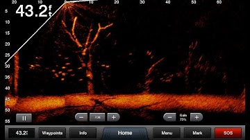 Panoptix LiveScope – The most amazing sonar technology ever.