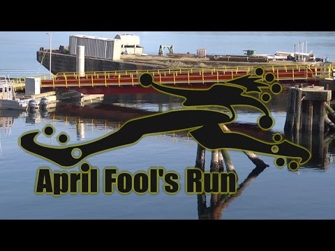 Fools Run on the Sunshine Coast!