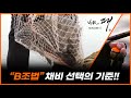 [박歌의패 시즌2 6화] - "B조법 채비" 선택의 기준과 완도 감성돔