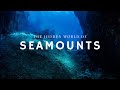 Deep Sea Wonders Quiz