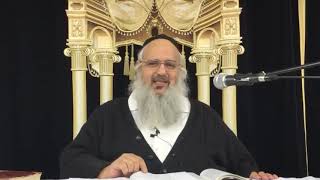 פרשת ויקהל תשע"ט - הרב שלמה לוינשטיין שליט"א