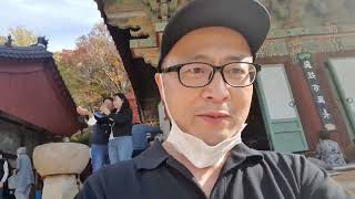 金彤彤与金好好_韩国 釜山-梵魚寺(범어사)(2022\/11\/13）