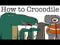 Your life as a crocodile