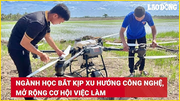 Ngành học bắt kịp xu hướng công nghệ, mở rộng cơ hội việc làm | Báo Lao Động