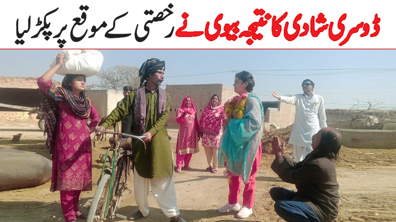 Top comedy viral videos 2026, Dholan, lali, sharmili, ramzi, nori, Jugnu, ladu, totyshah, funnyjokes