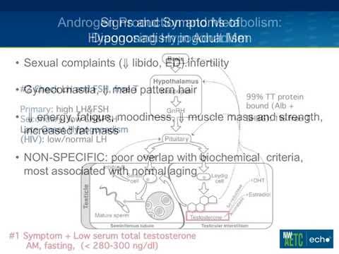 Hypogonadism and Testosterone Replacement in Men with HIV