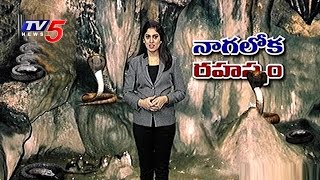 The Real Naag-Lok | Patal Bhuvaneshwar Cave Sectrets | Unbelievable Stories | TV5 News