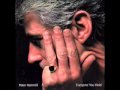 Peter Hammill - Personality