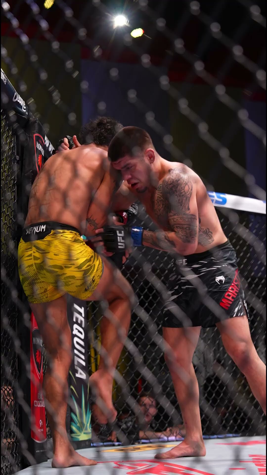 this kick was CRAZY!!! ? #ufcvegas103
