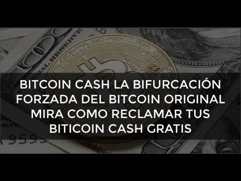 Que Es El Bitcoin Cash Y Como Obtenerlo Situacion Del Bitcoin - 