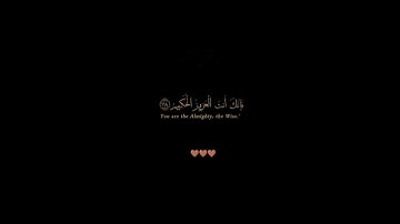 سورة المائدة / القارئ الشيخ ياسر الدوسري / تلاوة خاشعة تريح سمعك