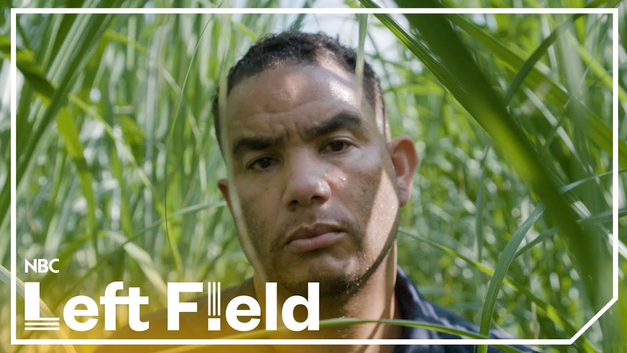 Black Farmer. True fields