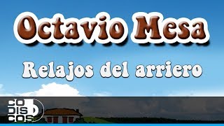 Relajos Del Arriero, Octavio Mesa - Audio chords