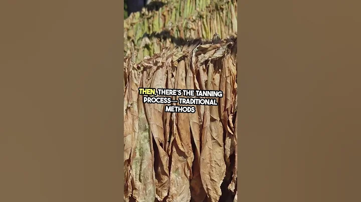 Why Is Italian Leather So Expensive?! 🇮🇹 #Shorts