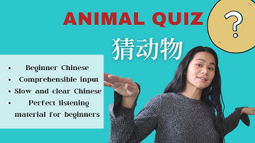 猜动物 Animal Quiz| beginner Chinese| Comprehensible input